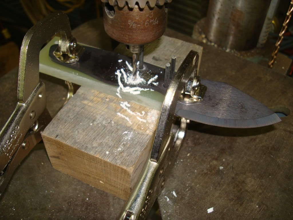 DSC08849.jpg