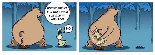 bear_and_the_rabbit.jpg