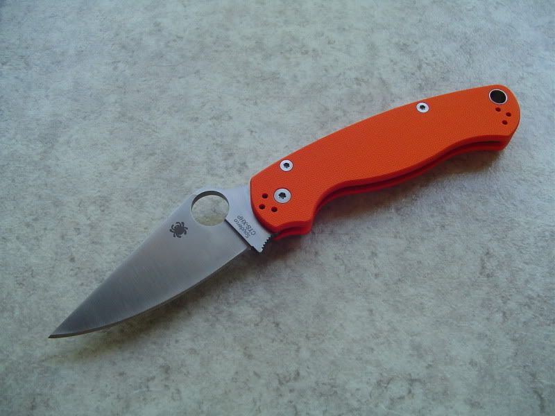 OrangePara002.jpg