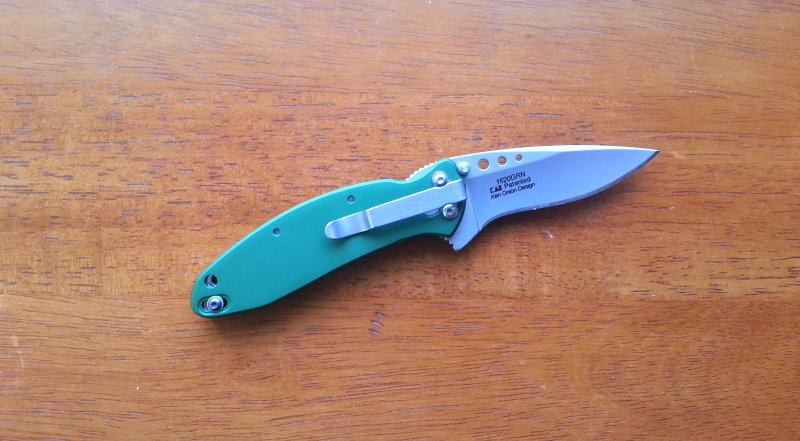 Scallion_800x441.jpg
