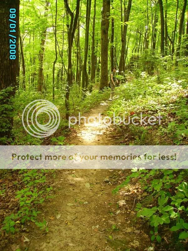PICT0371.jpg