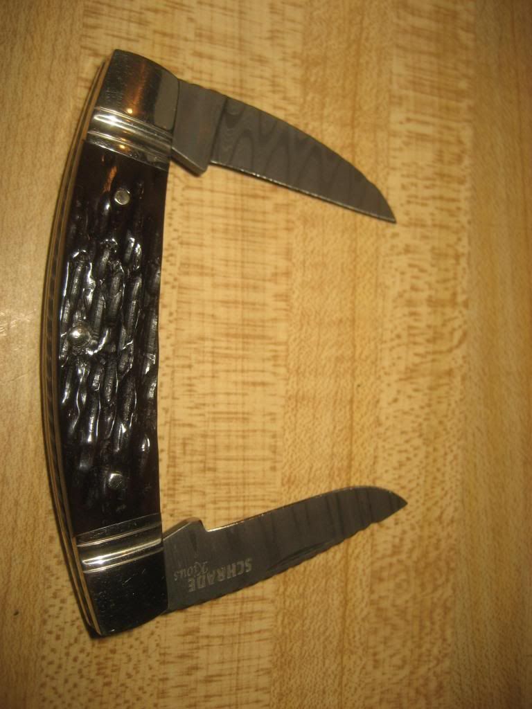 schradekious001.jpg