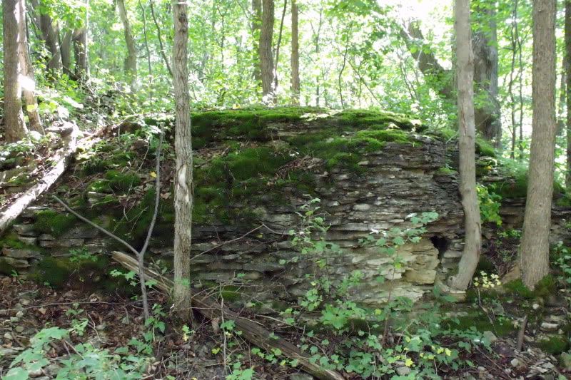 DSCF1018.jpg