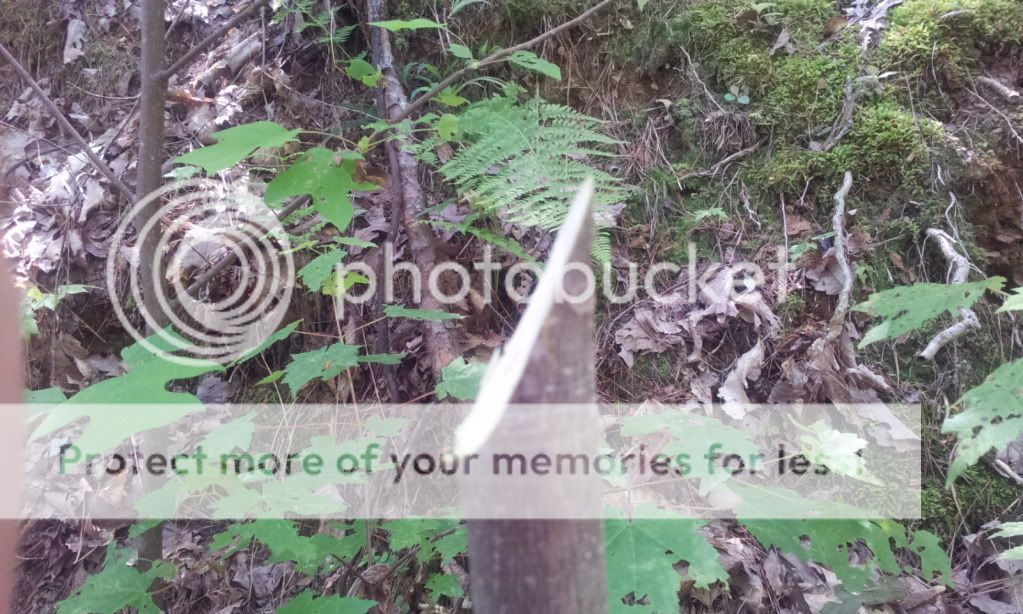 2012-05-10114821.jpg