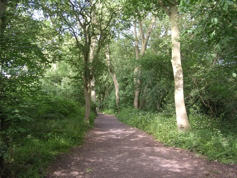 DSCN2301.jpg