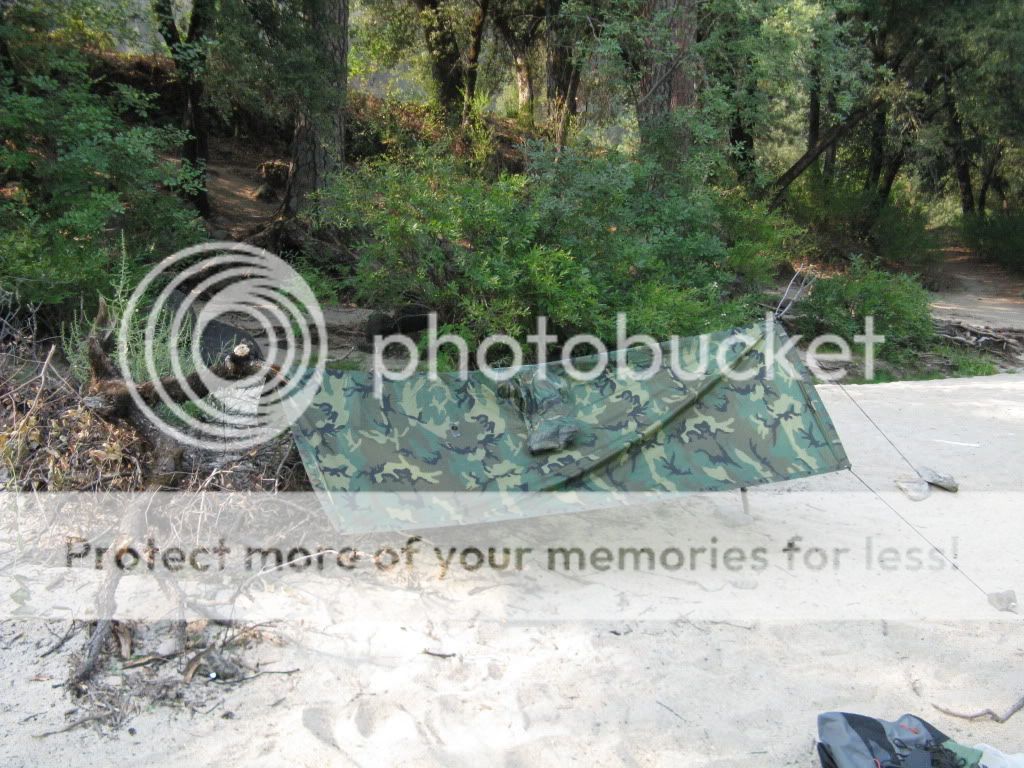 Picture177.jpg