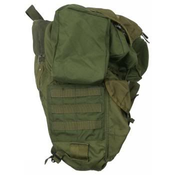 ALICE-molle.jpg