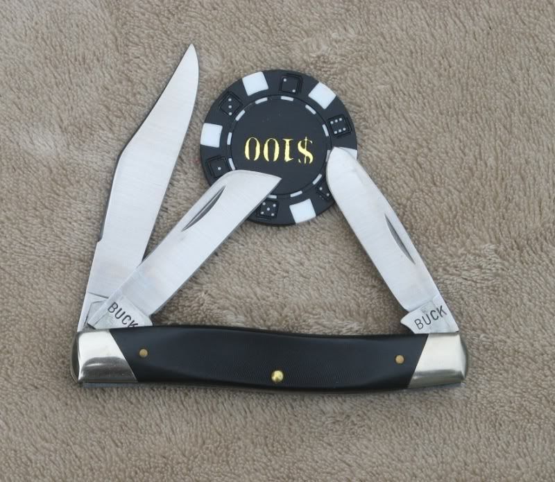 Buck_301_b_2.jpg