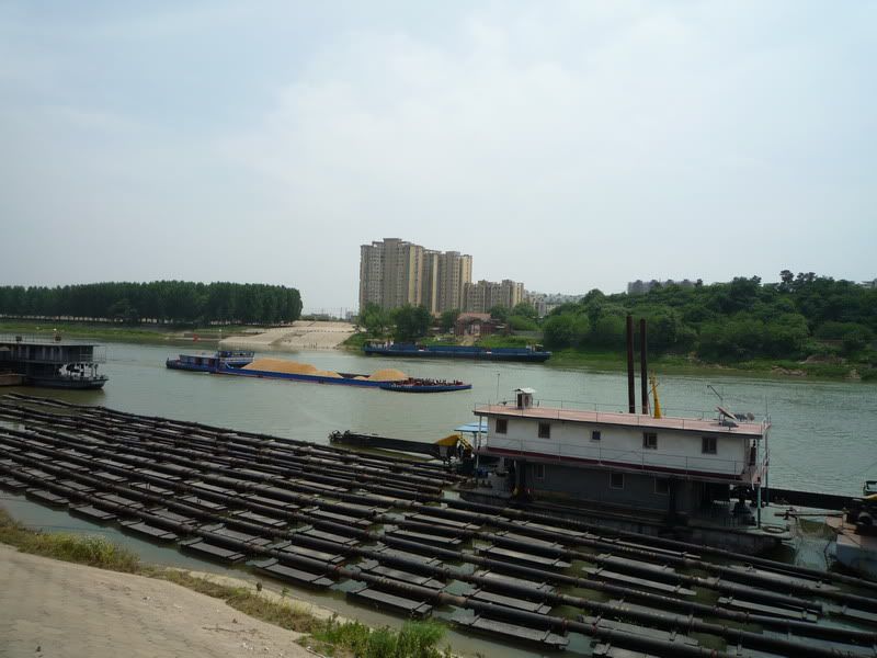 P1060531.jpg