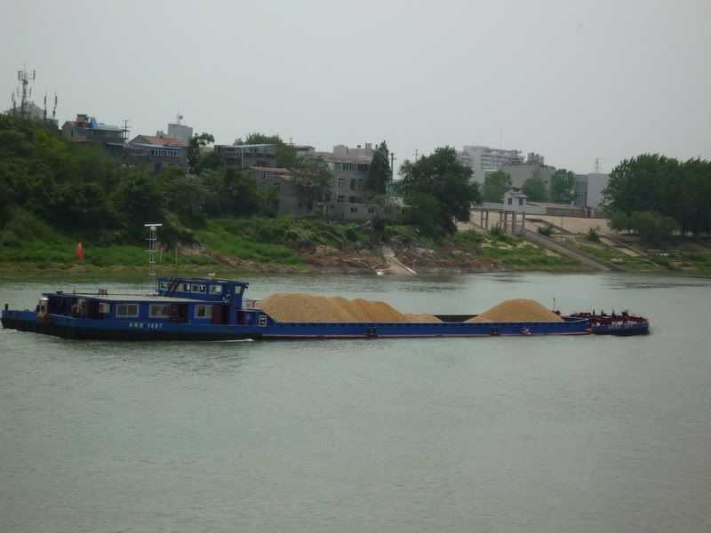 P1060534.jpg