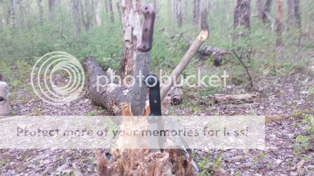 20140512_183637_zpsc234bb1e.jpg
