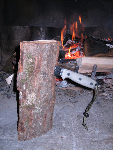 Rat%203%20002.jpg