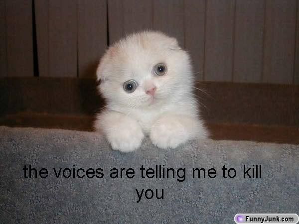 voices.jpg