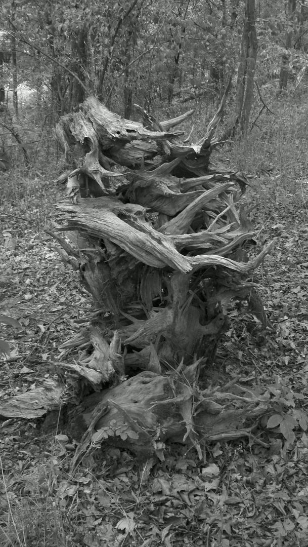 760824122_photobucket_53148_.jpg