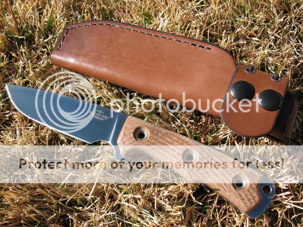 IMG_0254_zps5d5ac370.jpg