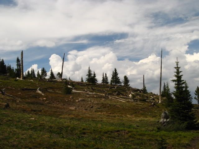 IMG_5722.jpg