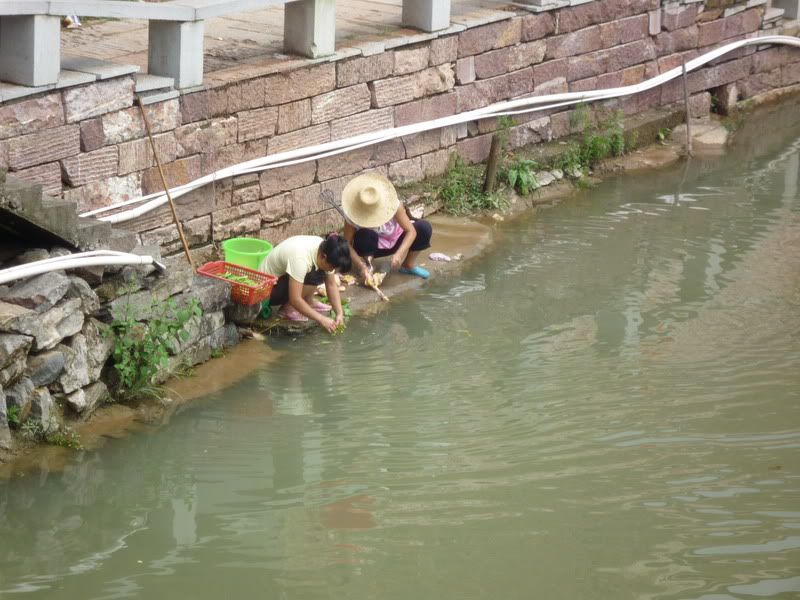 P1000874.jpg