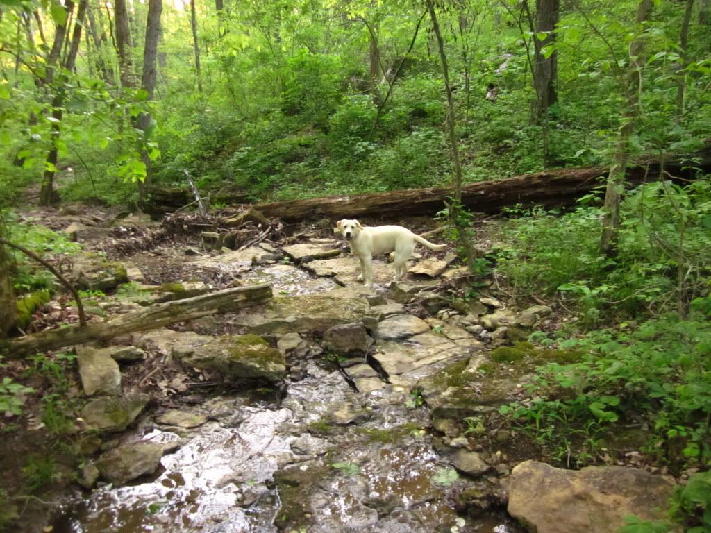 IMG_1129.jpg