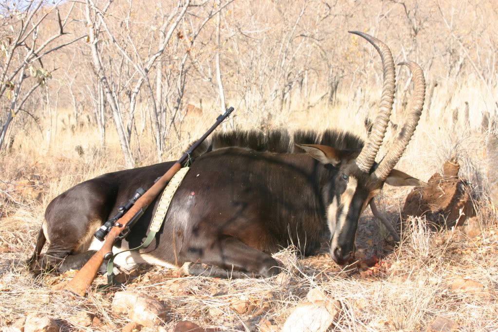 Africa014.jpg