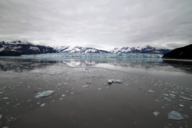 YakutatBay_zps6f2ff9da.jpg