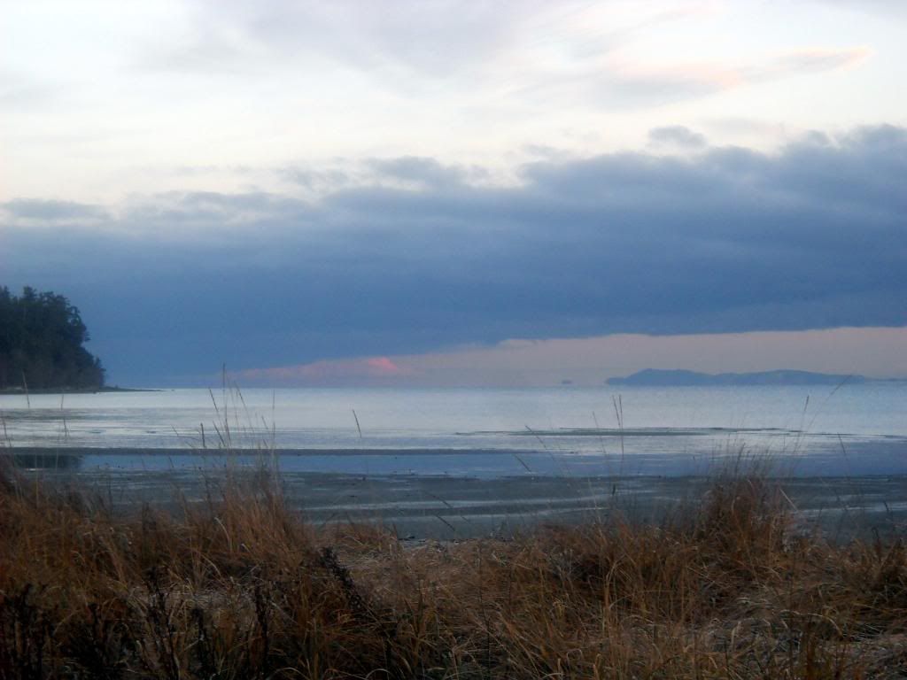 DSCN0265.jpg