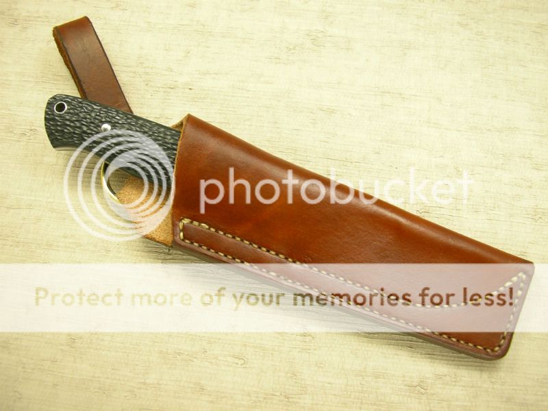 IMGP2283_zps5e38e1df.jpg