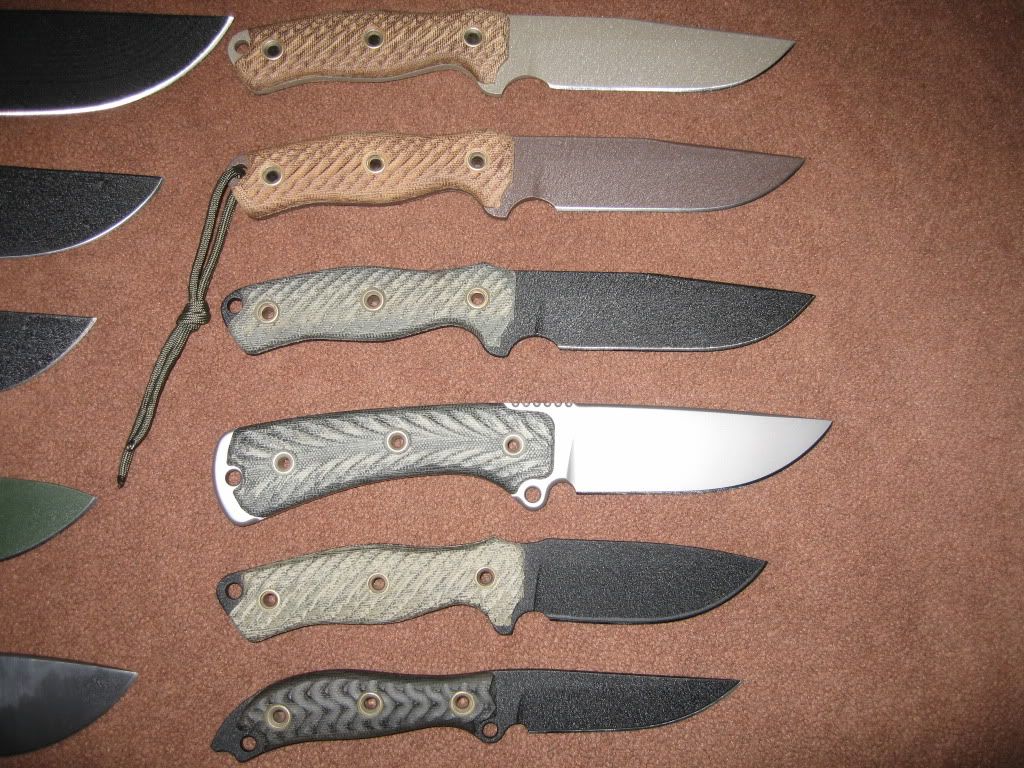 BrownTrout2009.jpg