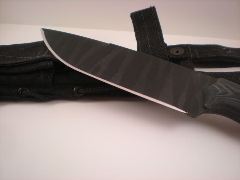 DSCN2044.jpg