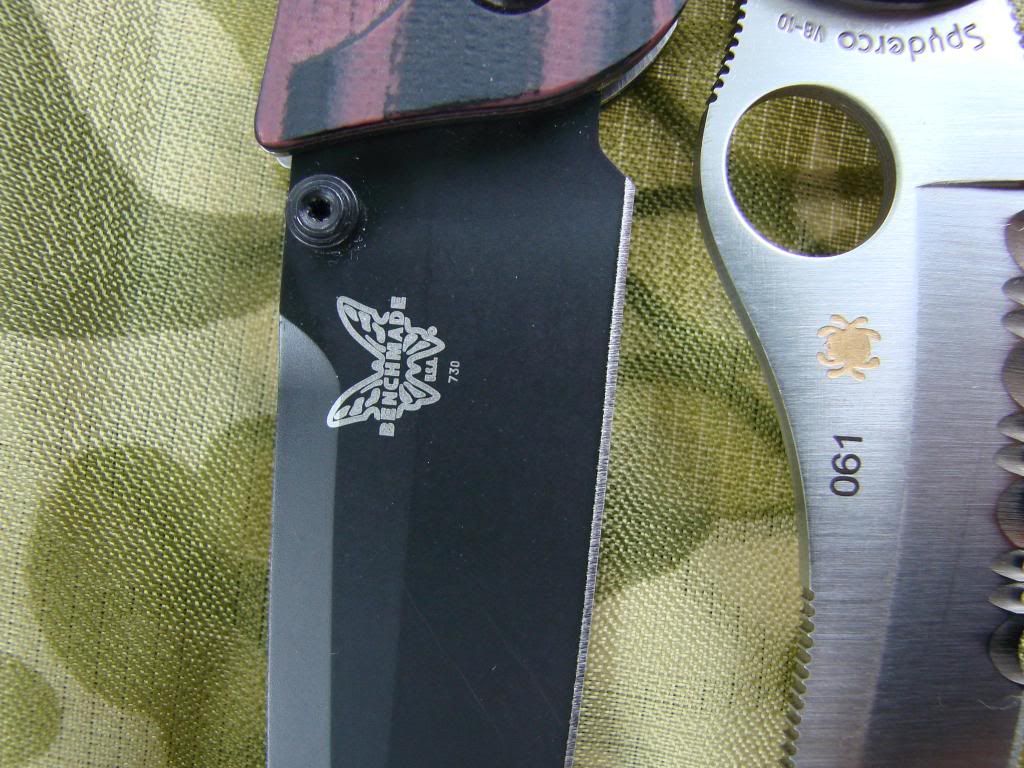 BM730andSpydercoOcelot005.jpg