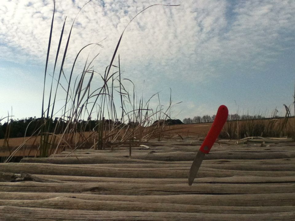 image_zps6d214370.jpg