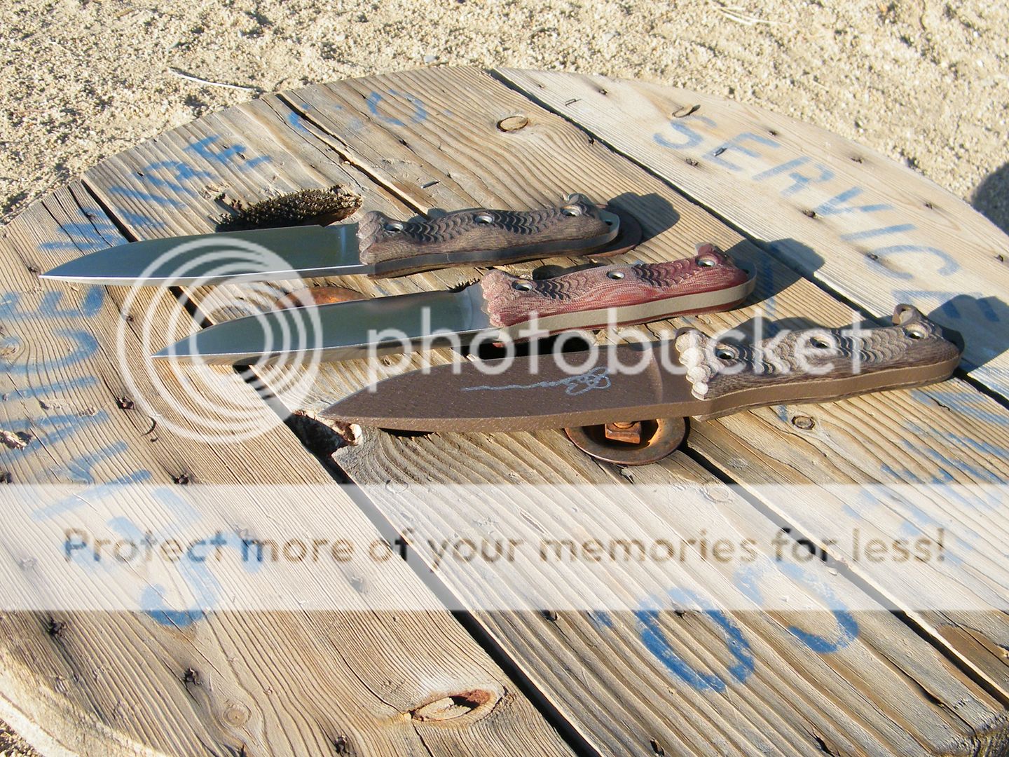 DSCF7901.jpg