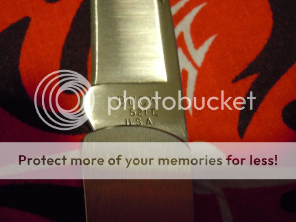 DSCN1272.jpg