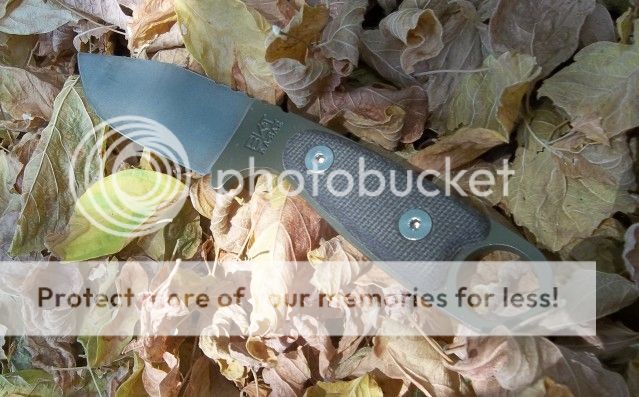 100_3280.jpg