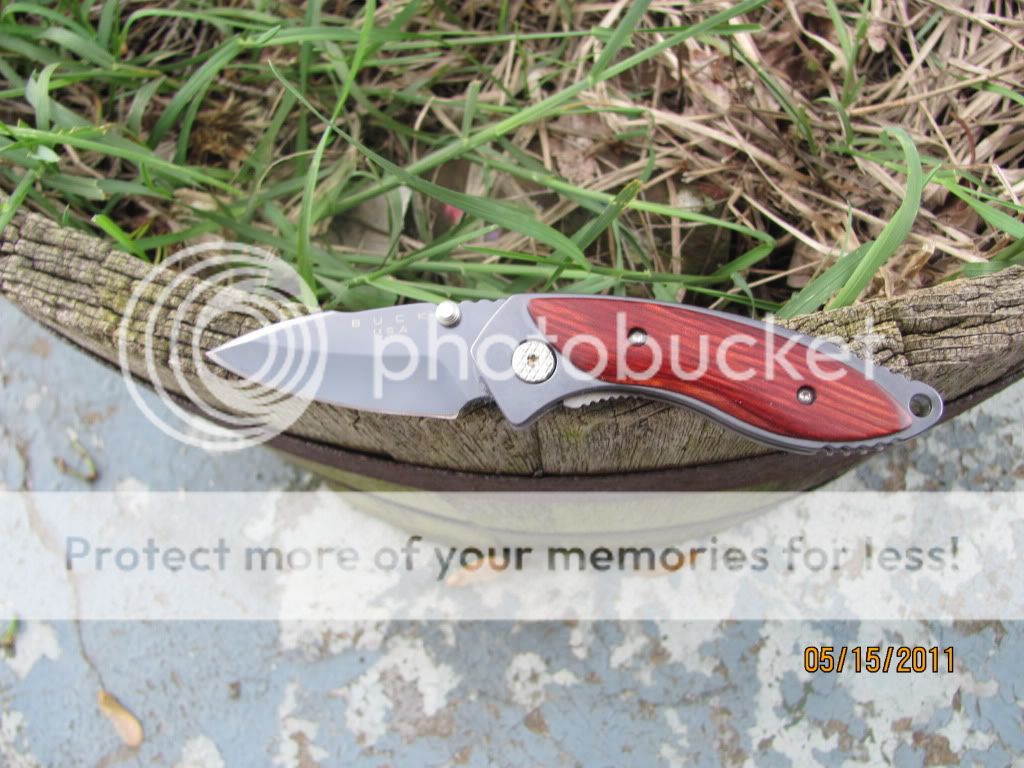 271AlphaDoradoWSpecCPM154001.jpg