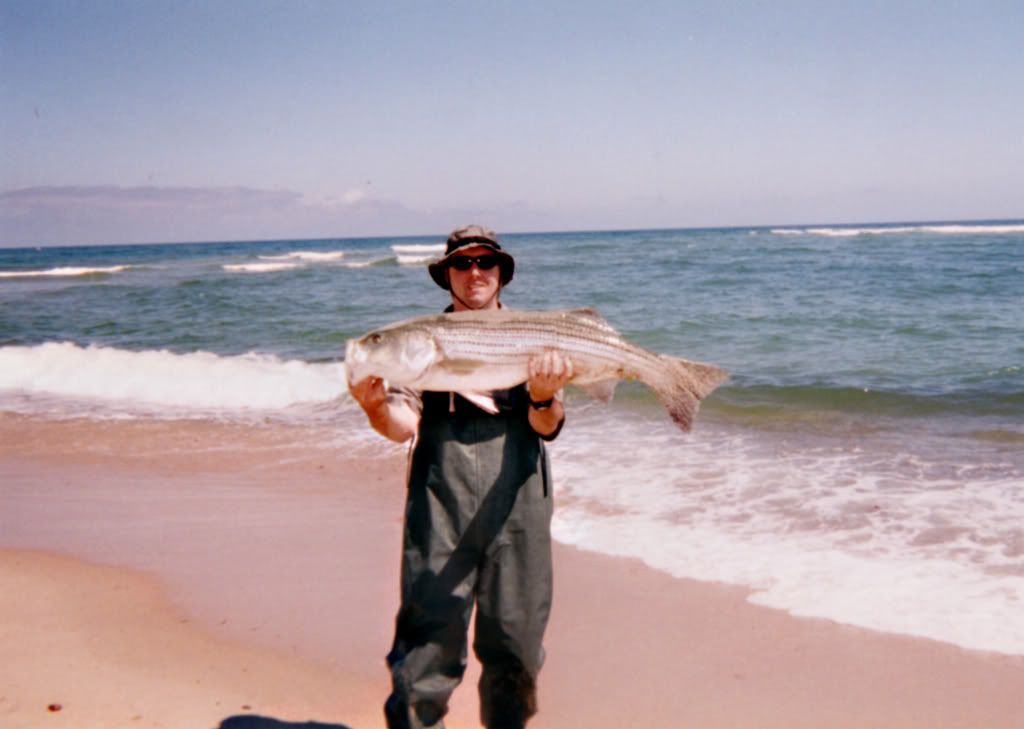 39striper1.jpg