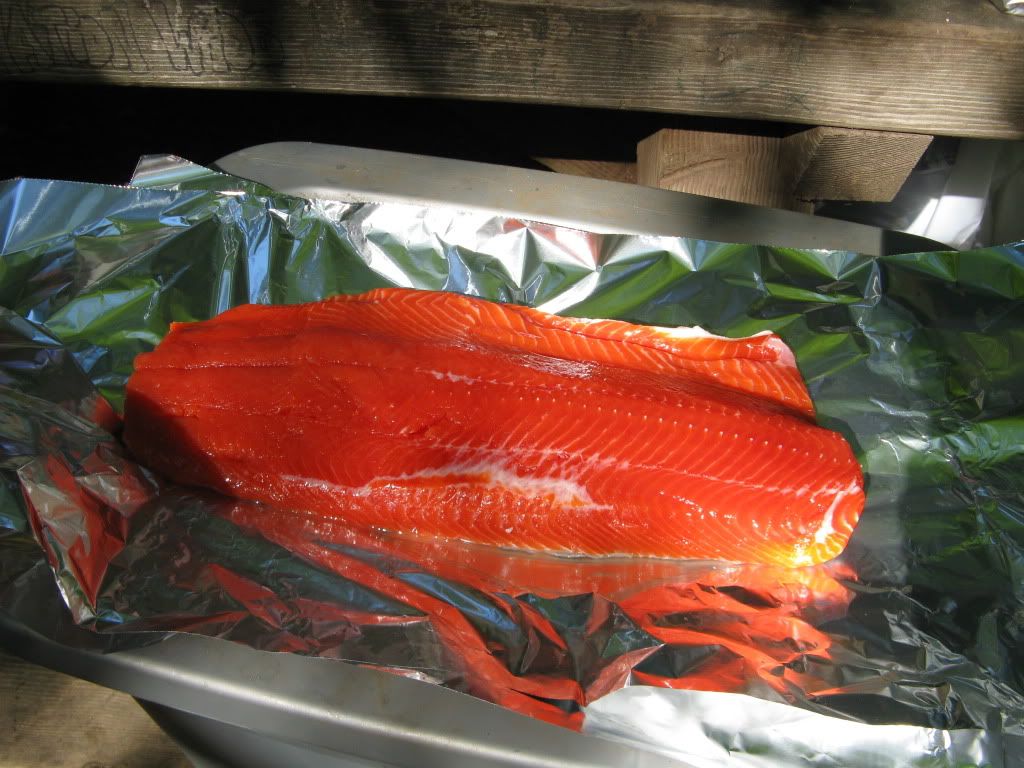 fish.jpg