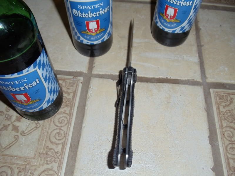 DSC01212.jpg