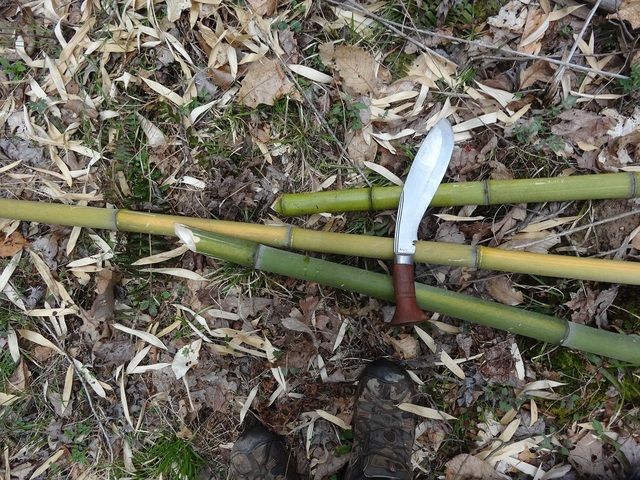 bamboo2.jpg