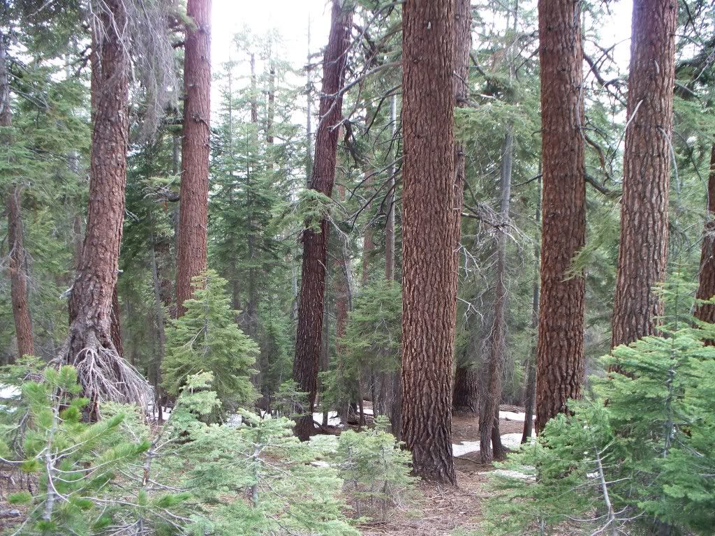 100_0119.jpg
