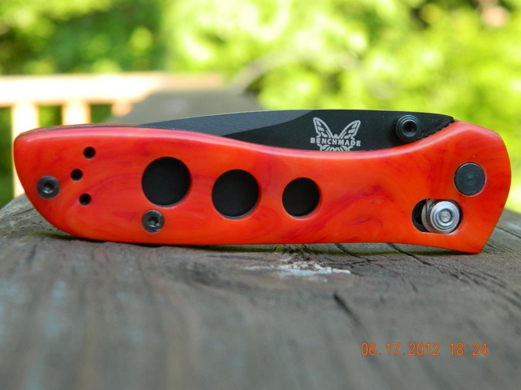 DSCN2529.jpg