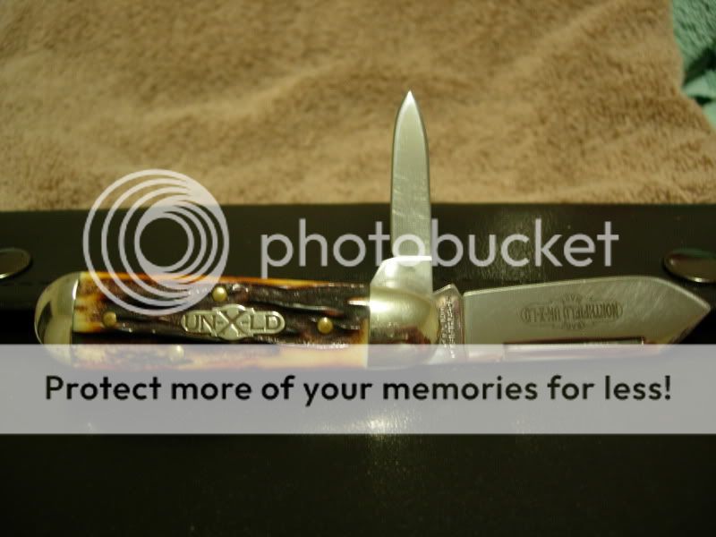 DSCN6015.jpg