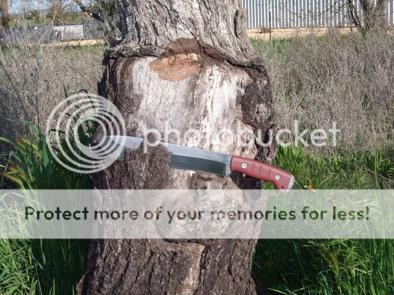 Siegleblade2.jpg