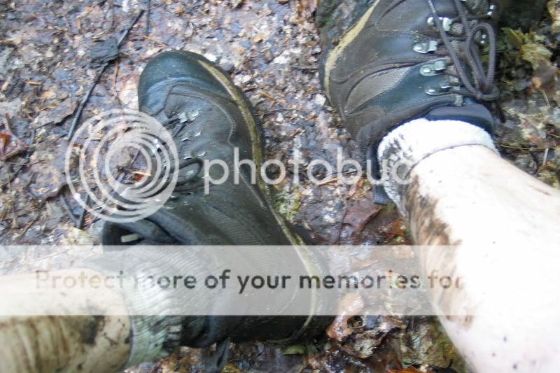 IMG_3509.jpg