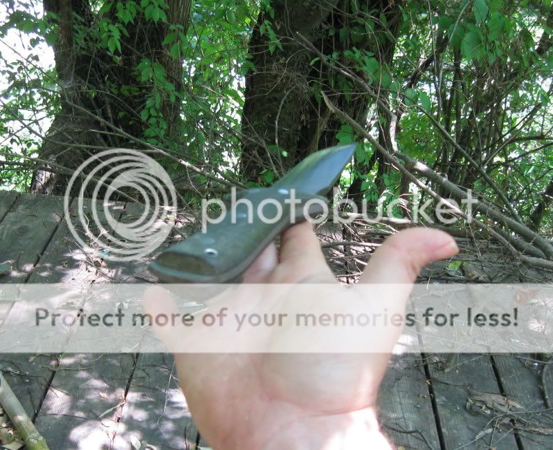 IMG_5120.jpg