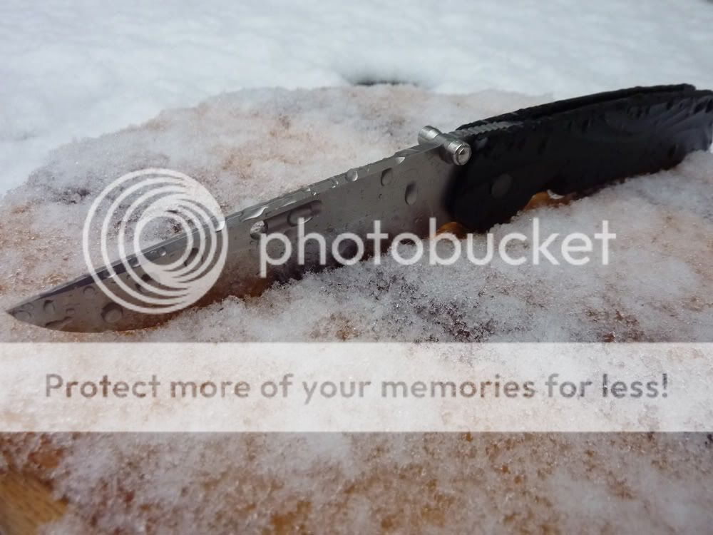winter1.jpg