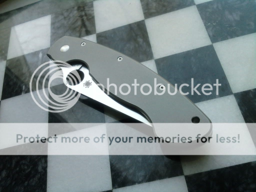 2010-12-29142931.jpg