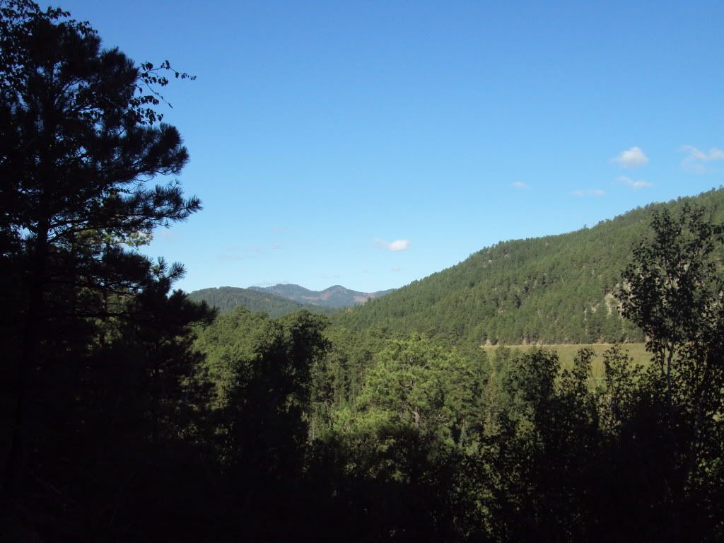 ba57419f.jpg