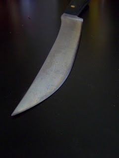 100_7941.JPG