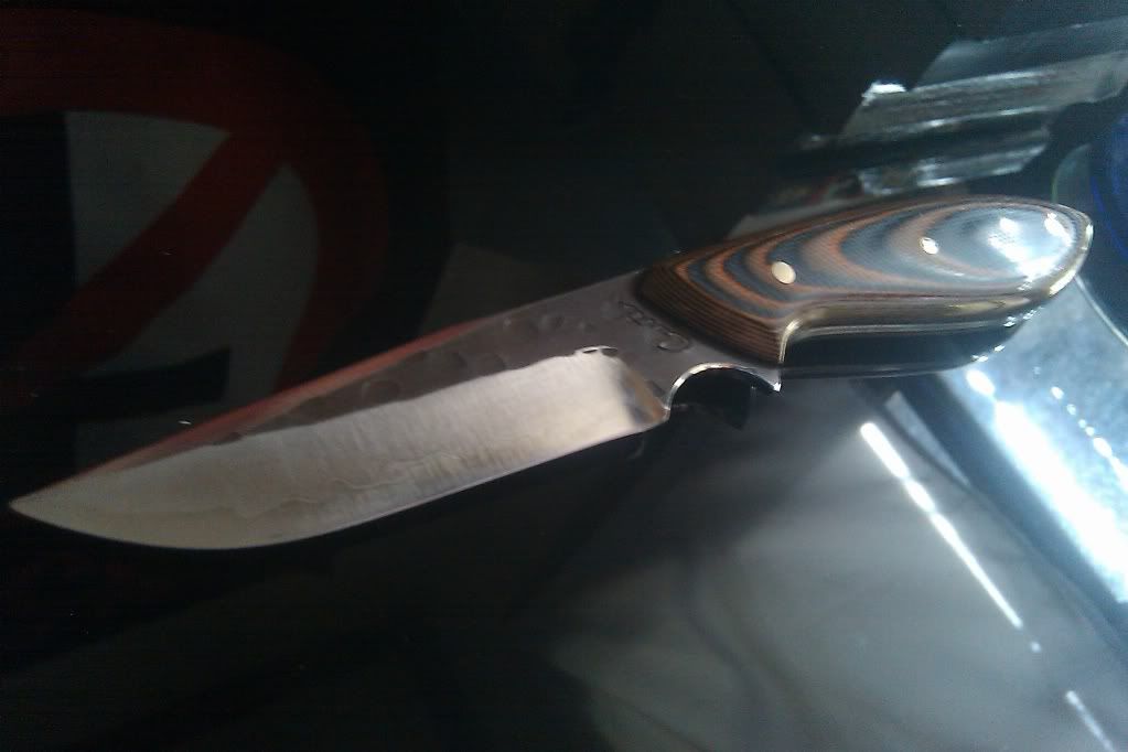 IMAG0264.jpg