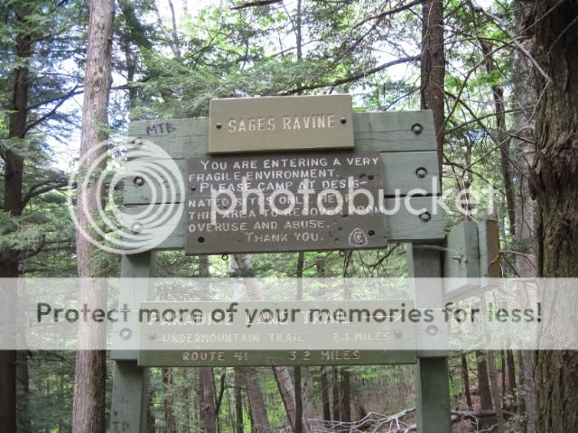 IMG_1077.jpg